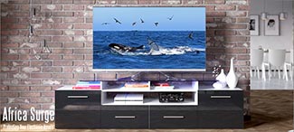 Living Room AV lightning surge protection